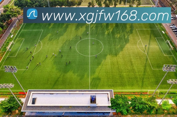 多媒体互动体验